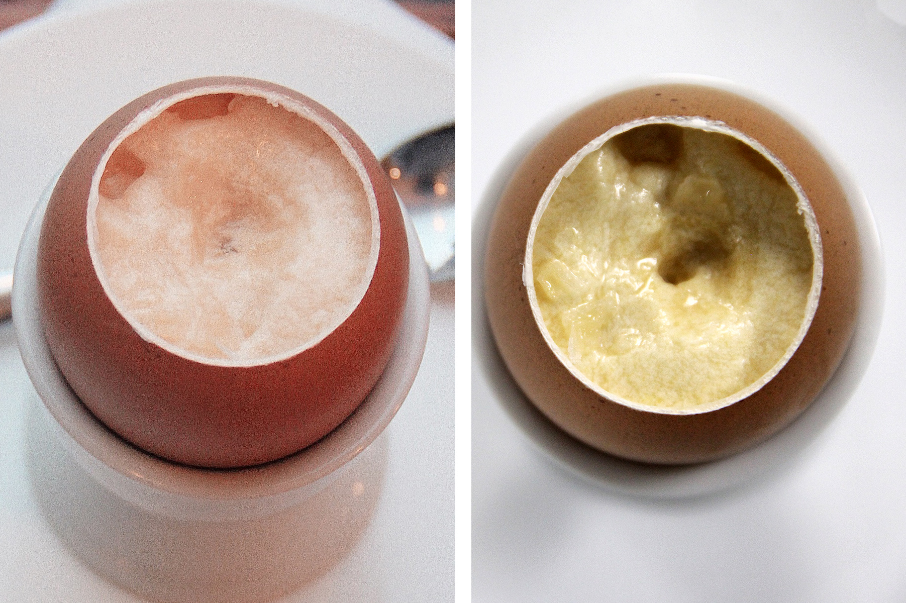 Eggs of varying success