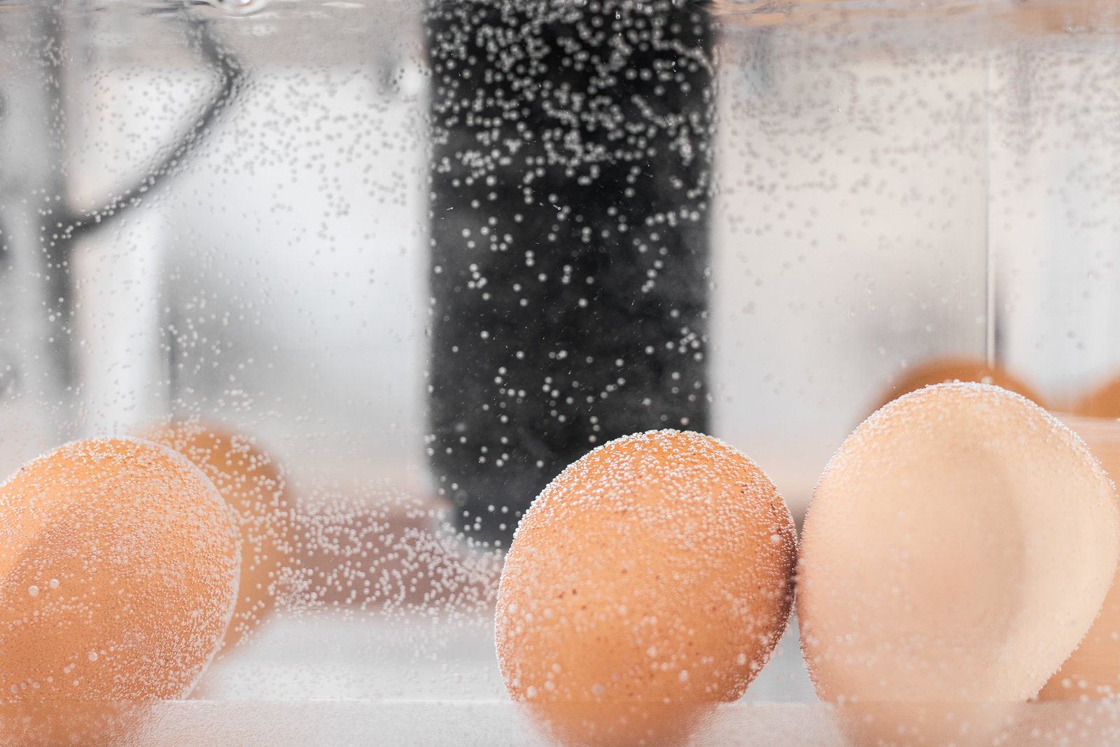 Sous vide cooking