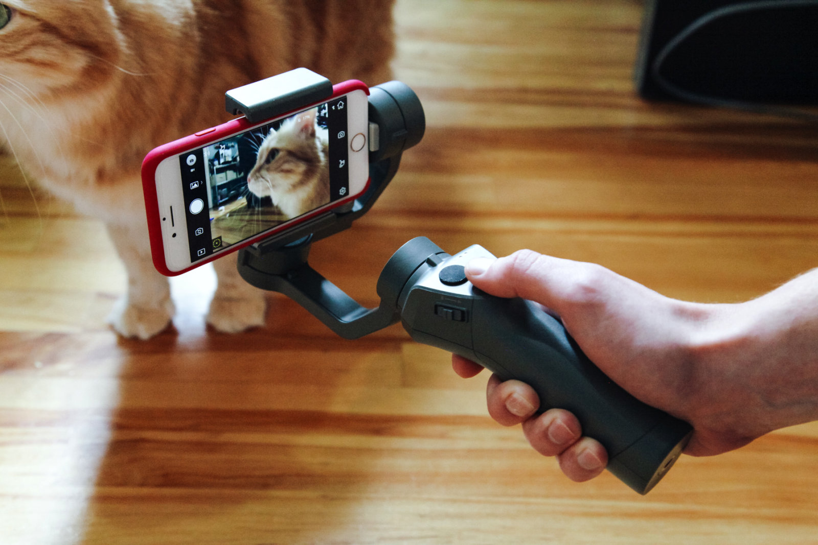 Gimbal