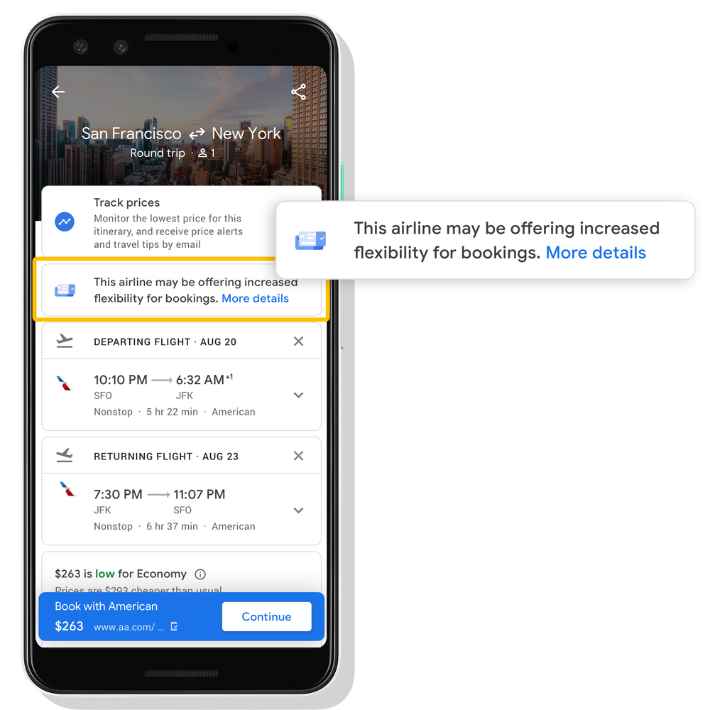Google Travel Advisories