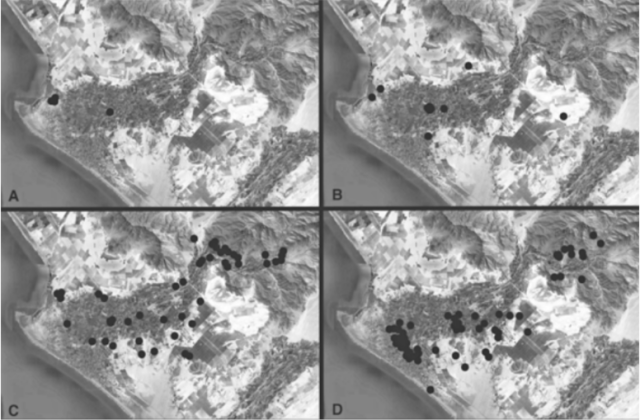 Settlement patterns in the Viru Valley, Peru. Gordon Willey’s first attempt to reconstruct settlement patterns shows four time periods. From upper-left, clockwise:(A) a time when few people lived in the valley (Cerro Prieto Period); (B) the first period when we find houses and community buildings (Guañape Period); (C) the time when fortification were added (Puerto Moorin Period); (D) and the period when people moved into a dense concentration near the coast (Gallinazo Period). Source: Willey (1953). The length of the valley, from the ocean to the uplands, is just over thirty kilometers, or about a seven-hour hike.