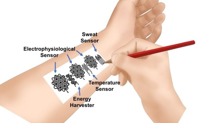 sensor